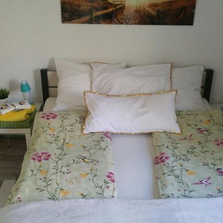 Zacisze Starowki Apartment Torun Ngoại thất bức ảnh