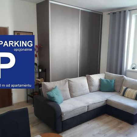 Zacisze Starowki Apartment Torun Ngoại thất bức ảnh