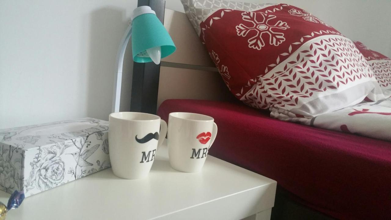 Zacisze Starowki Apartment Torun Ngoại thất bức ảnh